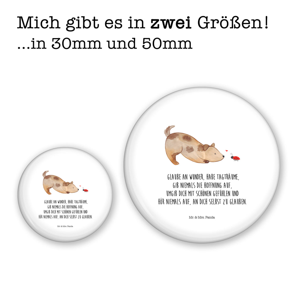 50mm Button Hund Marienkäfer 50mm Button, Button, Pin, Anstecknadel, Hund, Hundemotiv, Haustier, Hunderasse, Tierliebhaber, Hundebesitzer, Sprüche, Hunde, Hundespruch, Marienkäfer, Mischling, Mischlinghund