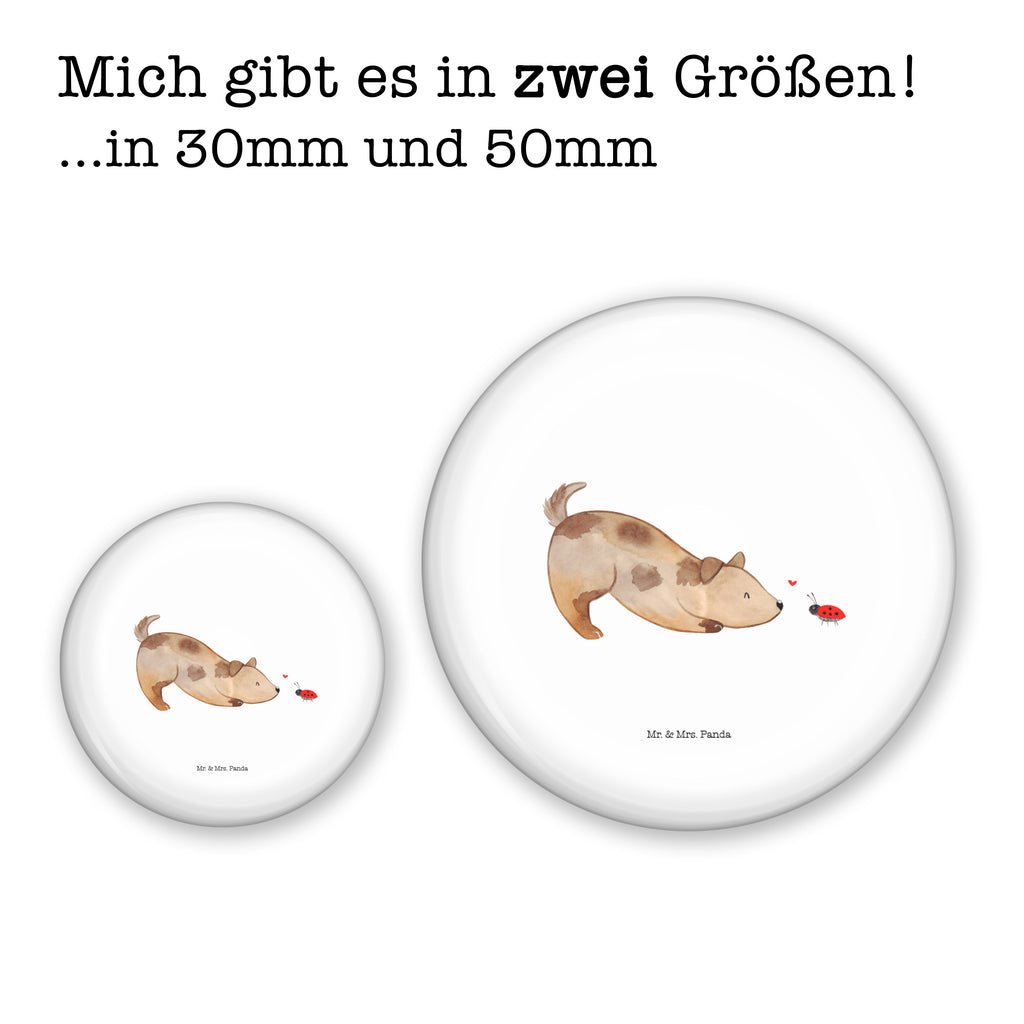 50mm Button Hund Marienkäfer 50mm Button, Button, Pin, Anstecknadel, Hund, Hundemotiv, Haustier, Hunderasse, Tierliebhaber, Hundebesitzer, Sprüche, Hunde, Hundespruch, Marienkäfer, Mischling, Mischlinghund