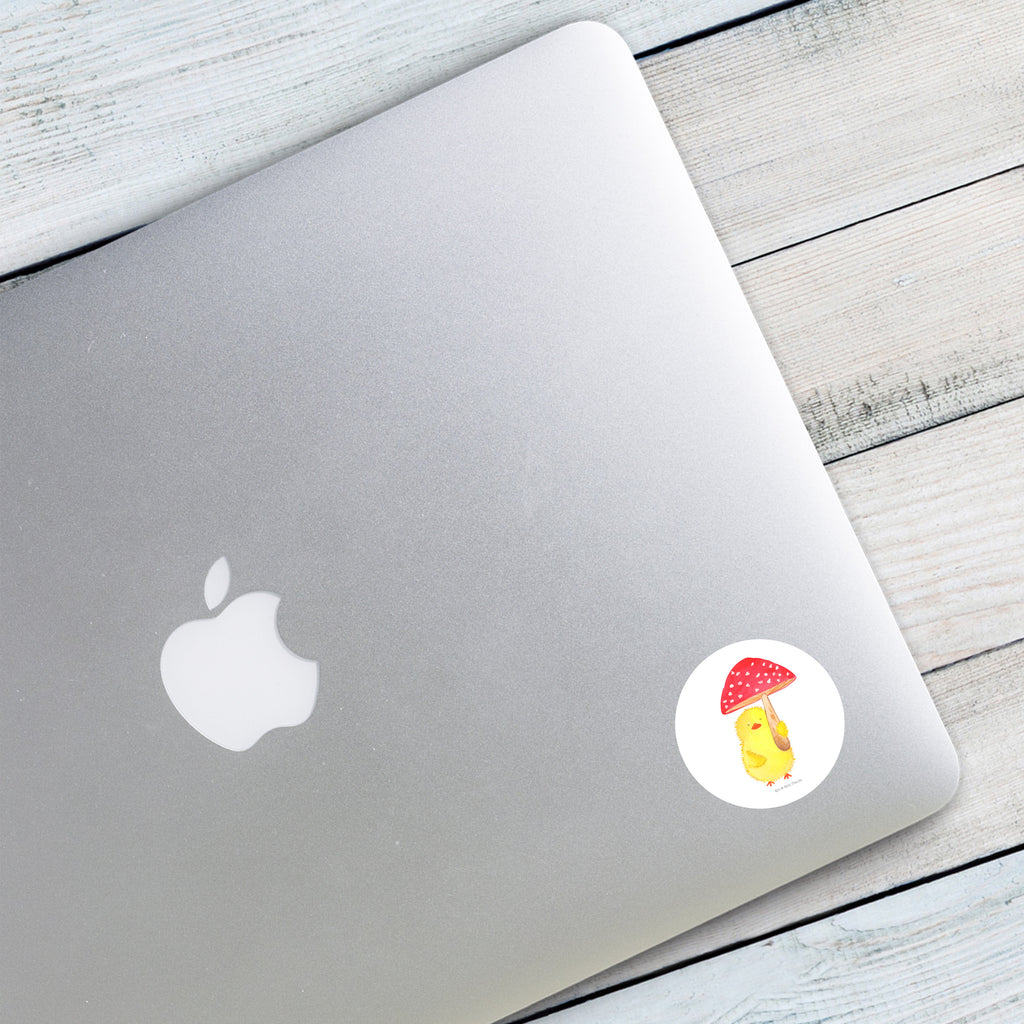 40mm Rund Aufkleber Küken Fliegenpilz Sticker, Aufkleber, Etikett, Ostern, Osterhase, Ostergeschenke, Osternest, Osterdeko, Geschenk zu Ostern, Küken, Fliegenpilz, Glückspilz, Frohe Ostern, Ostergrüße