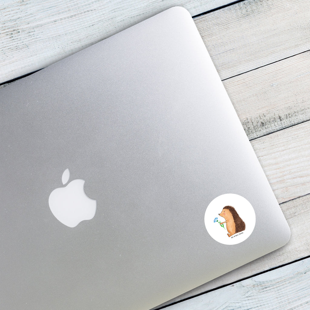 40mm Rund Aufkleber Igel mit Blume Sticker, Aufkleber, Etikett, Tiermotive, Gute Laune, lustige Sprüche, Tiere, Igel, Gute Besserung, Genesungswünsche, Krankheit, Krankenhaus, krank, Besuch