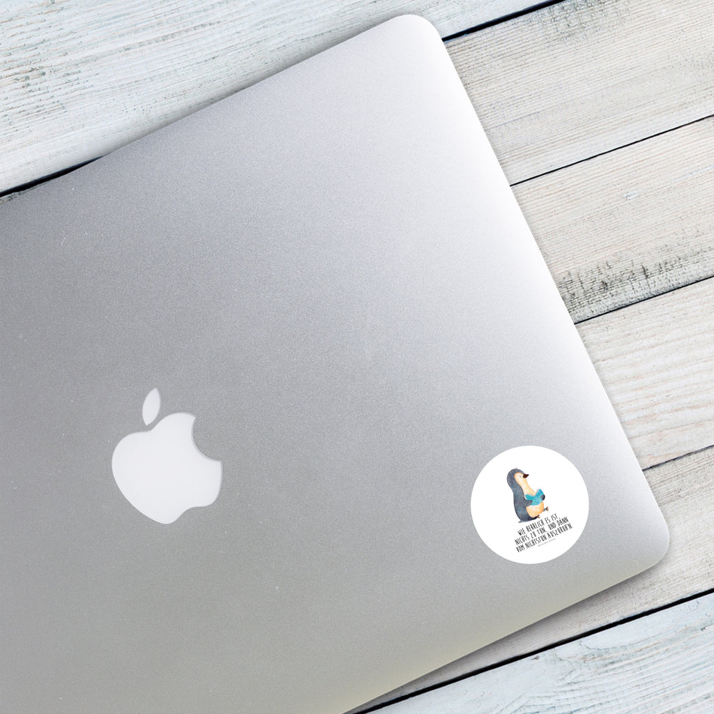 40mm Rund Aufkleber Pinguin Buch Sticker, Aufkleber, Etikett, Pinguin, Pinguine, Buch, Lesen, Bücherwurm, Nichtstun, Faulenzen, Ferien, Urlaub, Freizeit