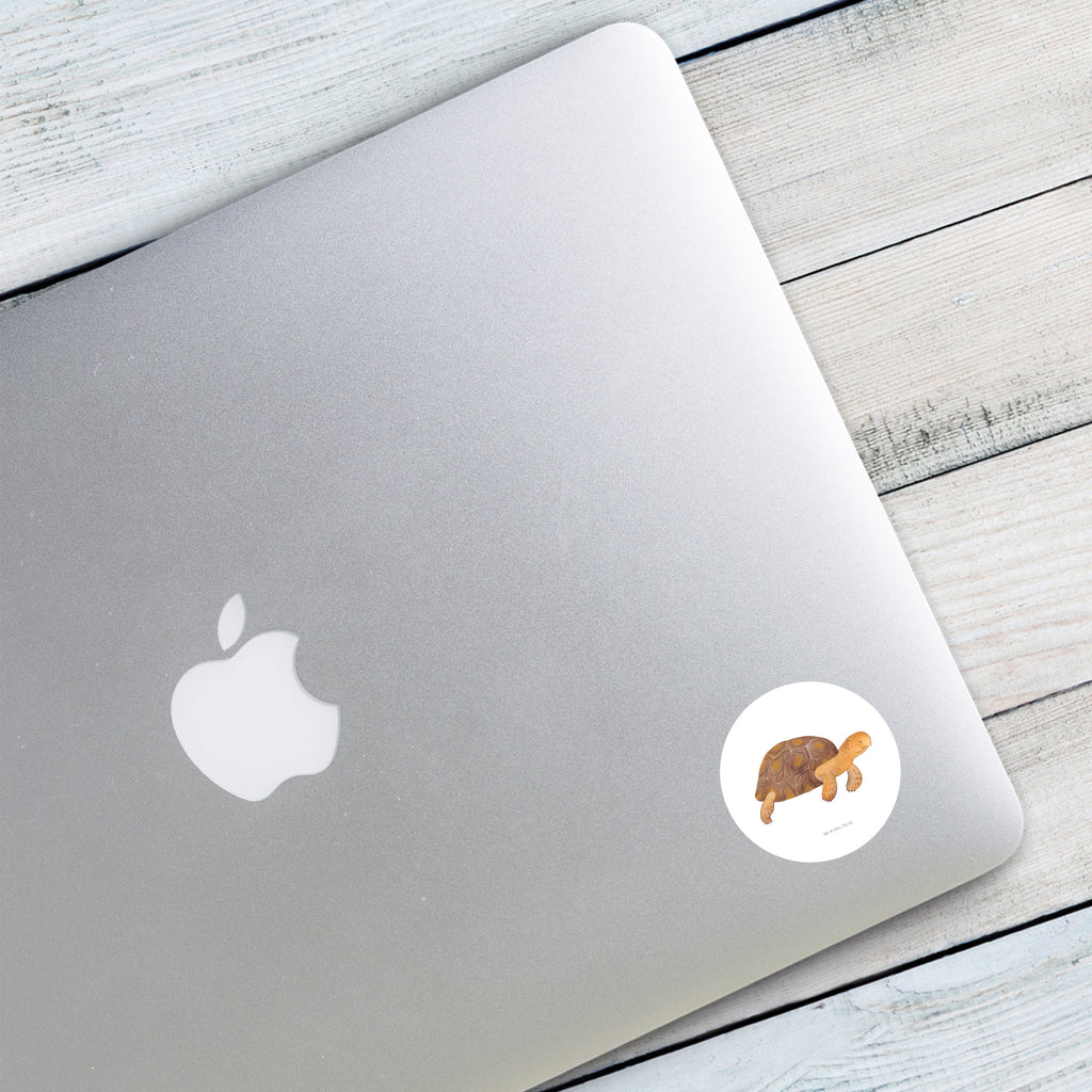 40mm Rund Aufkleber Schildkröte marschiert Sticker, Aufkleber, Etikett, Meerestiere, Meer, Urlaub, Schildkröte, Schildkröten, get lost, Abenteuer, Reiselust, Inspiration, Neustart, Motivation, Lieblingsmensch