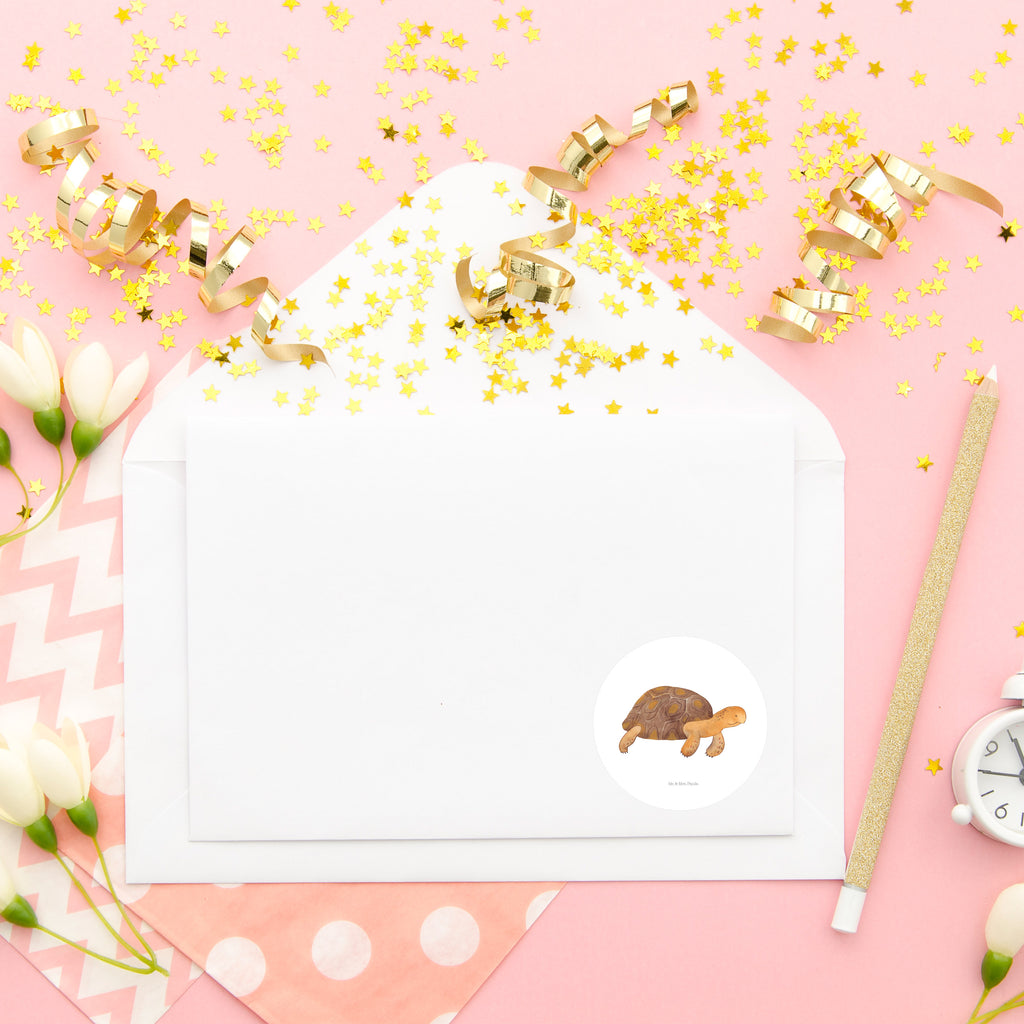 40mm Rund Aufkleber Schildkröte marschiert Sticker, Aufkleber, Etikett, Meerestiere, Meer, Urlaub, Schildkröte, Schildkröten, get lost, Abenteuer, Reiselust, Inspiration, Neustart, Motivation, Lieblingsmensch