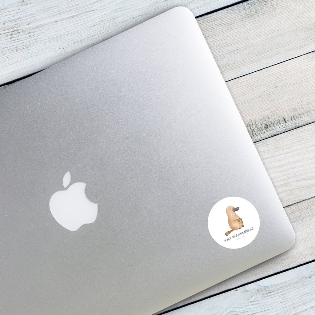 40mm Rund Aufkleber Schnabeltier mutig Sticker, Aufkleber, Etikett, Meerestiere, Meer, Urlaub, Schnabeltier, Mut, mutig, Lebensweisheit, Schnabeltiere, Motivation, Training, Büro, Arbeit, Neuanfang, Neustart, Weltreise, Raodtrip