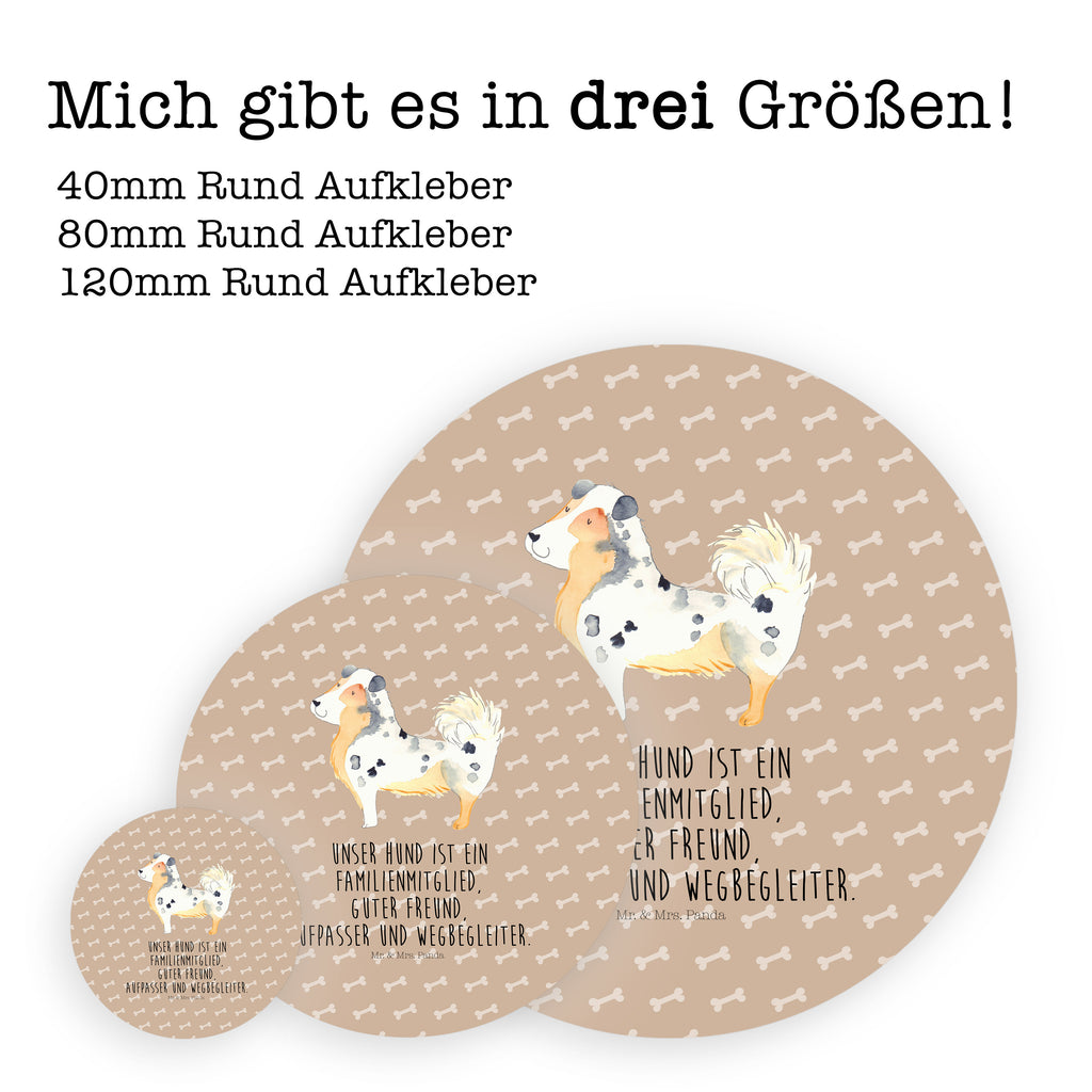 40mm Rund Aufkleber Australien Shepherd Sticker, Aufkleber, Etikett, Hund, Hundemotiv, Haustier, Hunderasse, Tierliebhaber, Hundebesitzer, Sprüche, Australien Shepherd, Shepherd, Hundeliebe, Familienhund, Spruch