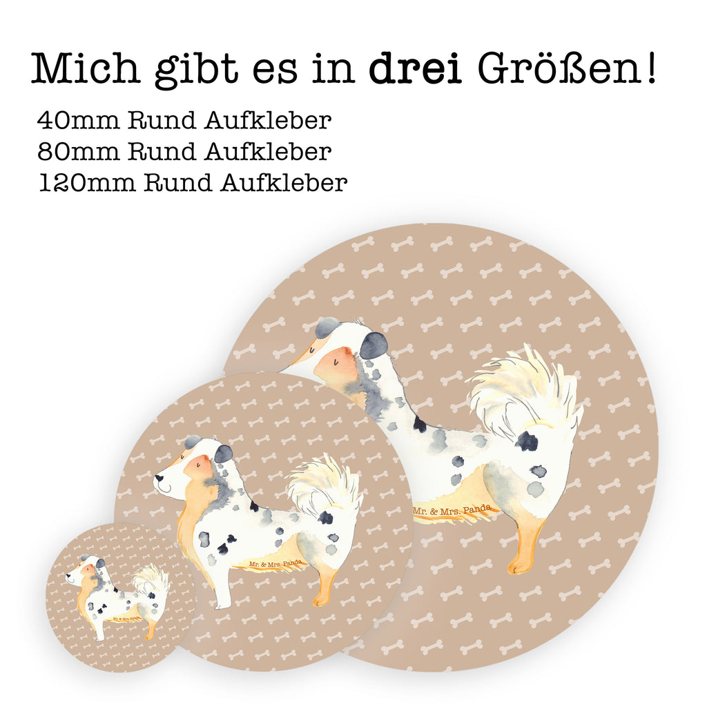 40mm Rund Aufkleber Australien Shepherd Sticker, Aufkleber, Etikett, Hund, Hundemotiv, Haustier, Hunderasse, Tierliebhaber, Hundebesitzer, Sprüche, Australien Shepherd, Shepherd, Hundeliebe, Familienhund, Spruch