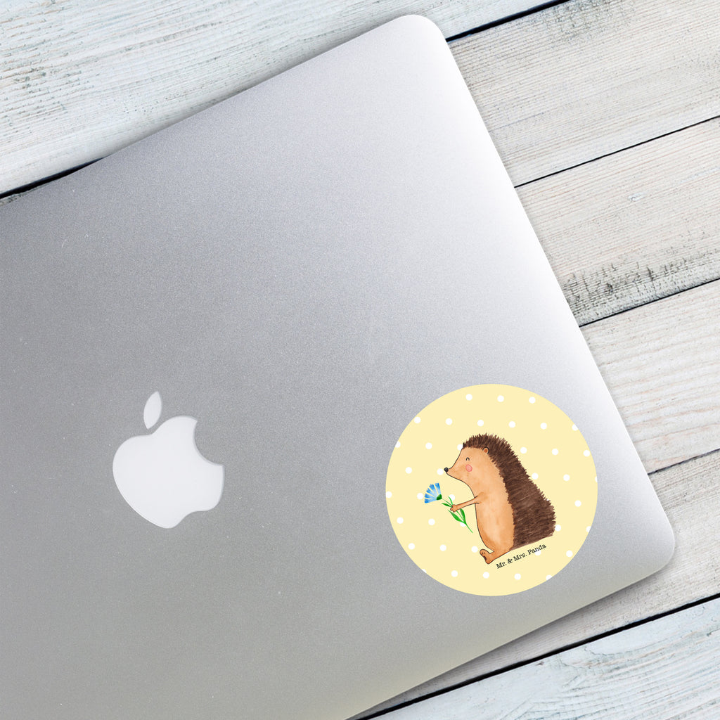 80mm Rund Aufkleber Igel mit Blume Sticker, Aufkleber, Etikett, süße Tiermotive, gute Laune, lustige Sprüche, Tiere, Igel, Gute Besserung, Genesungswünsche, Krankheit, Krankenhaus, krank, Besuch