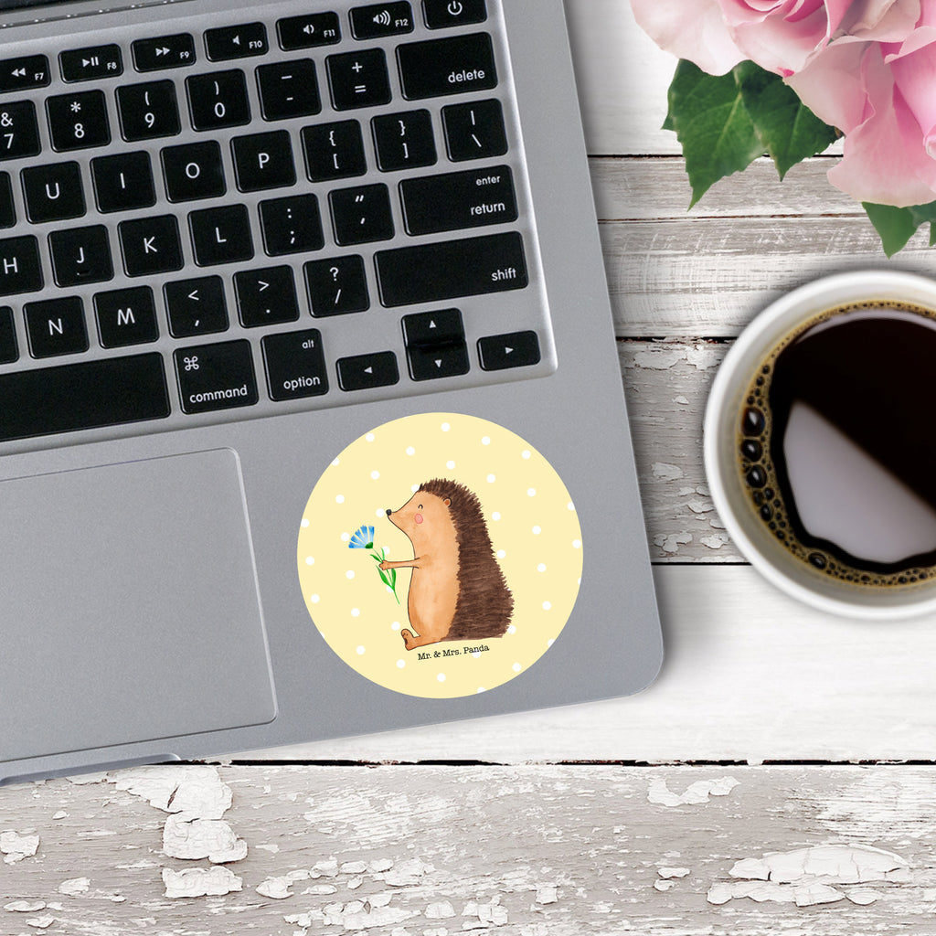 80mm Rund Aufkleber Igel mit Blume Sticker, Aufkleber, Etikett, süße Tiermotive, gute Laune, lustige Sprüche, Tiere, Igel, Gute Besserung, Genesungswünsche, Krankheit, Krankenhaus, krank, Besuch