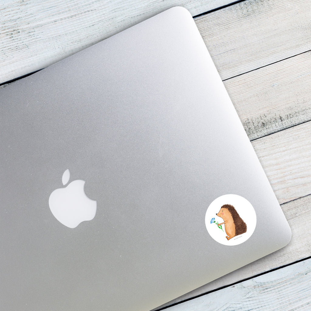 40mm Rund Aufkleber Igel mit Blume Sticker, Aufkleber, Etikett, Tiermotive, Gute Laune, lustige Sprüche, Tiere, Igel, Gute Besserung, Genesungswünsche, Krankheit, Krankenhaus, krank, Besuch