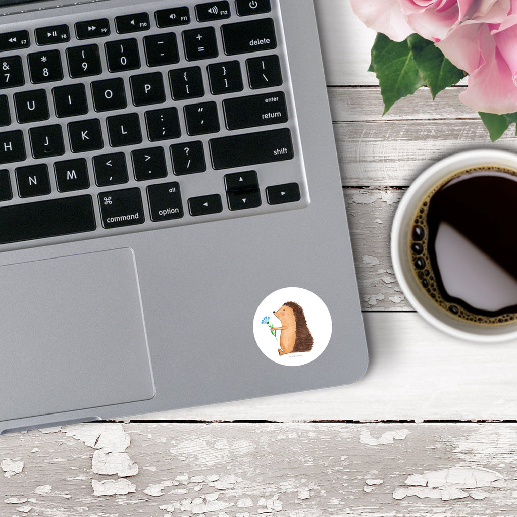 40mm Rund Aufkleber Igel mit Blume Sticker, Aufkleber, Etikett, Tiermotive, Gute Laune, lustige Sprüche, Tiere, Igel, Gute Besserung, Genesungswünsche, Krankheit, Krankenhaus, krank, Besuch