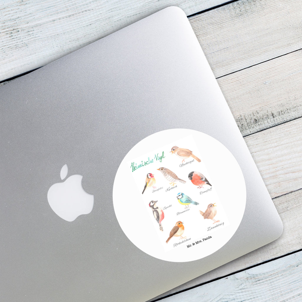 120mm Rund Aufkleber Heimische Vögel Sticker, Aufkleber, Etikett, Kinder, rund, Blumen Deko, Frühlings Deko, Sommer Deko, Dekoration, positive Botschaft, Naturliebhaber, Outdoor, Natur, Abenteuer, Vögel, Heimische Vögel