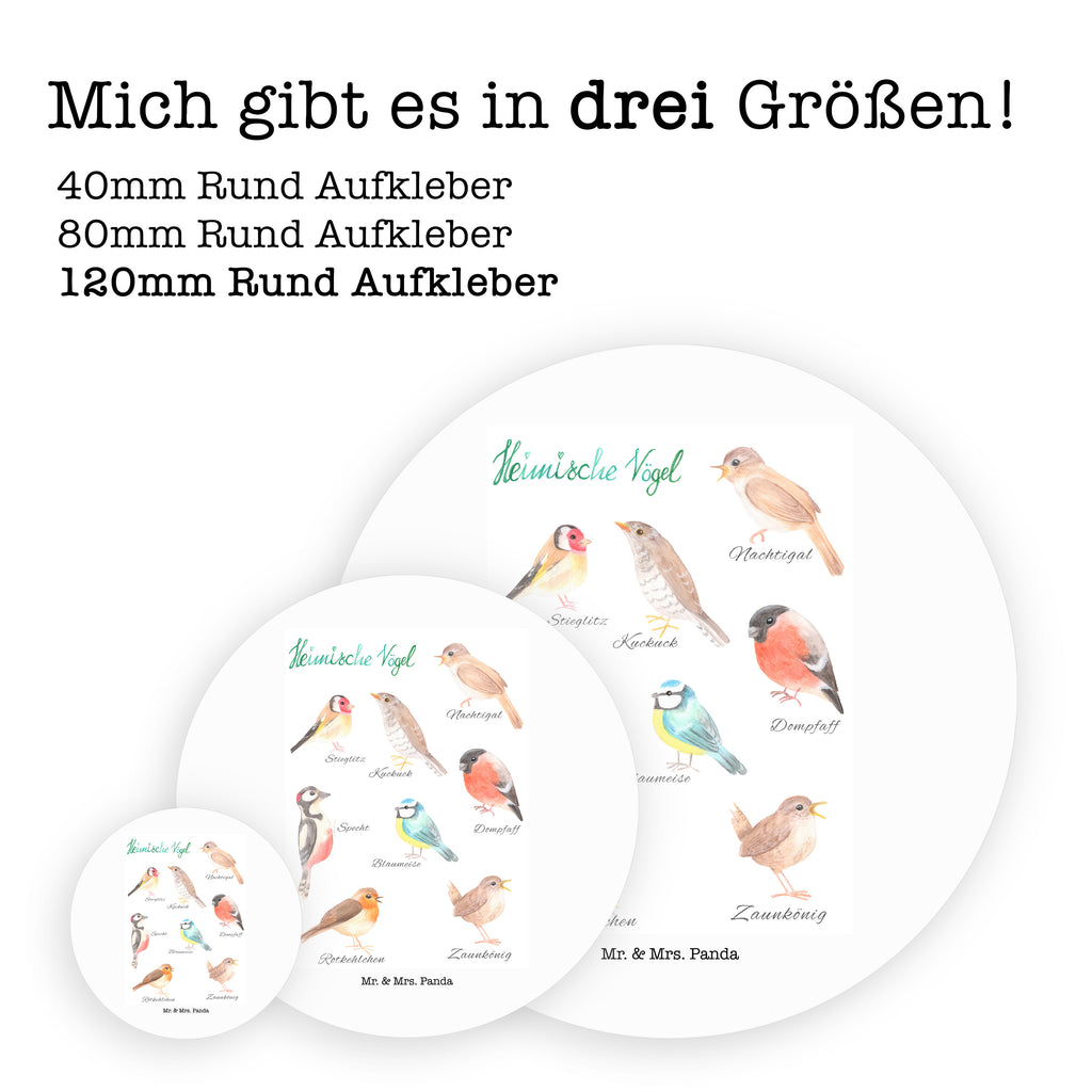 120mm Rund Aufkleber Heimische Vögel Sticker, Aufkleber, Etikett, Kinder, rund, Blumen Deko, Frühlings Deko, Sommer Deko, Dekoration, positive Botschaft, Naturliebhaber, Outdoor, Natur, Abenteuer, Vögel, Heimische Vögel