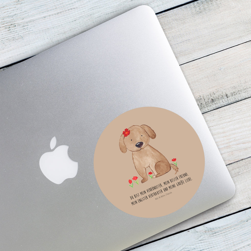 120mm Rund Aufkleber Hund Hundedame Sticker, Aufkleber, Etikett, Kinder, rund, Hund, Hundemotiv, Haustier, Hunderasse, Tierliebhaber, Hundebesitzer, Sprüche, Hunde, Hundeliebe, Hundeglück, Liebe, Frauchen