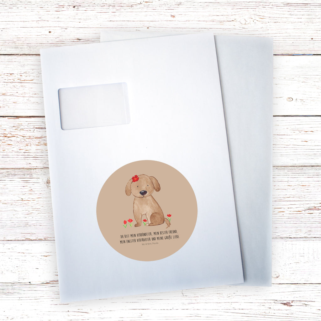 120mm Rund Aufkleber Hund Hundedame Sticker, Aufkleber, Etikett, Kinder, rund, Hund, Hundemotiv, Haustier, Hunderasse, Tierliebhaber, Hundebesitzer, Sprüche, Hunde, Hundeliebe, Hundeglück, Liebe, Frauchen