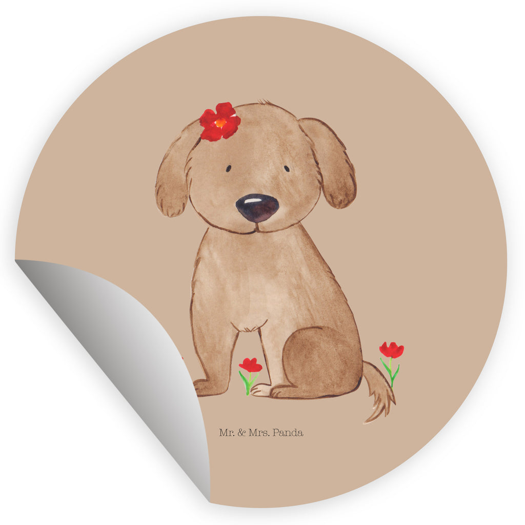 120mm Rund Aufkleber Hund Hundedame Sticker, Aufkleber, Etikett, Kinder, rund, Hund, Hundemotiv, Haustier, Hunderasse, Tierliebhaber, Hundebesitzer, Sprüche, Hunde, Hundeliebe, Hundeglück, Liebe, Frauchen