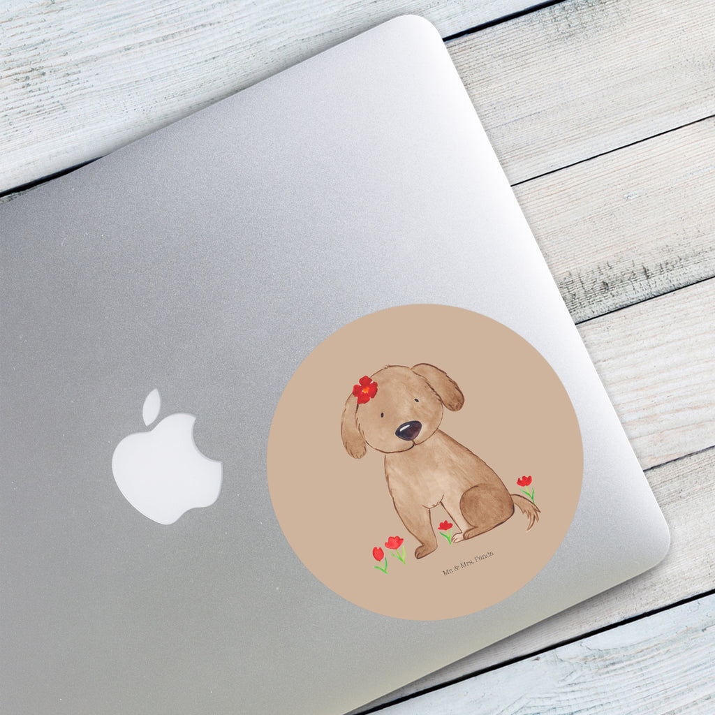 120mm Rund Aufkleber Hund Hundedame Sticker, Aufkleber, Etikett, Kinder, rund, Hund, Hundemotiv, Haustier, Hunderasse, Tierliebhaber, Hundebesitzer, Sprüche, Hunde, Hundeliebe, Hundeglück, Liebe, Frauchen