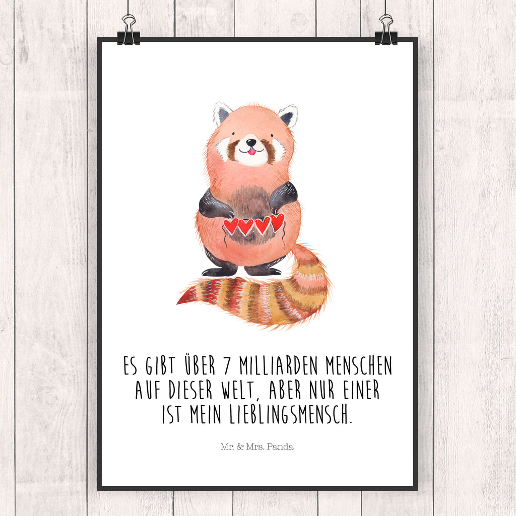 Poster Roter Panda Poster, Wandposter, Bild, Wanddeko, Küchenposter, Kinderposter, Wanddeko Bild, Raumdekoration, Wanddekoration, Handgemaltes Poster, Mr. & Mrs. Panda Poster, Designposter, Kunstdruck, Posterdruck, Tiermotive, Gute Laune, lustige Sprüche, Tiere, Panda, Liebe, Rot, Herz, Liebling, Lieblingsmensch