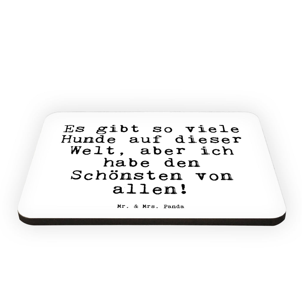 Magnet Sprüche und Zitate Es gibt so viele Hunde auf dieser Welt, aber ich habe den Schönsten von allen! Kühlschrankmagnet, Pinnwandmagnet, Souvenir Magnet, Motivmagnete, Dekomagnet, Whiteboard Magnet, Notiz Magnet, Kühlschrank Dekoration, Spruch, Sprüche, lustig, Weisheiten, Zitate, Spruch Sprüche Weisheiten Zitate Lustig Weisheit Worte