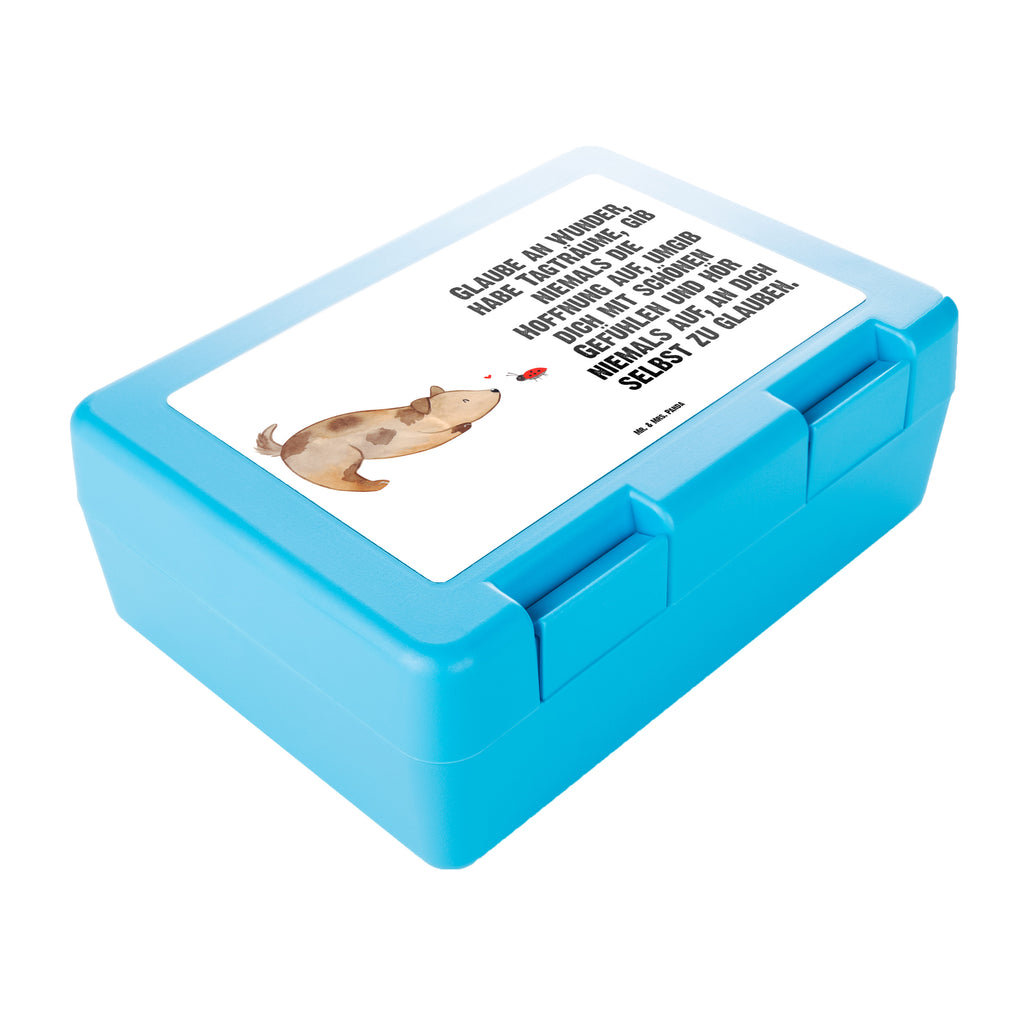 Brotdose Hund Marienkäfer Brotbox, Snackbox, Lunch box, Butterbrotdose, Brotzeitbox, Hund, Hundemotiv, Haustier, Hunderasse, Tierliebhaber, Hundebesitzer, Sprüche, Hunde, Hundespruch, Marienkäfer, Mischling, Mischlinghund