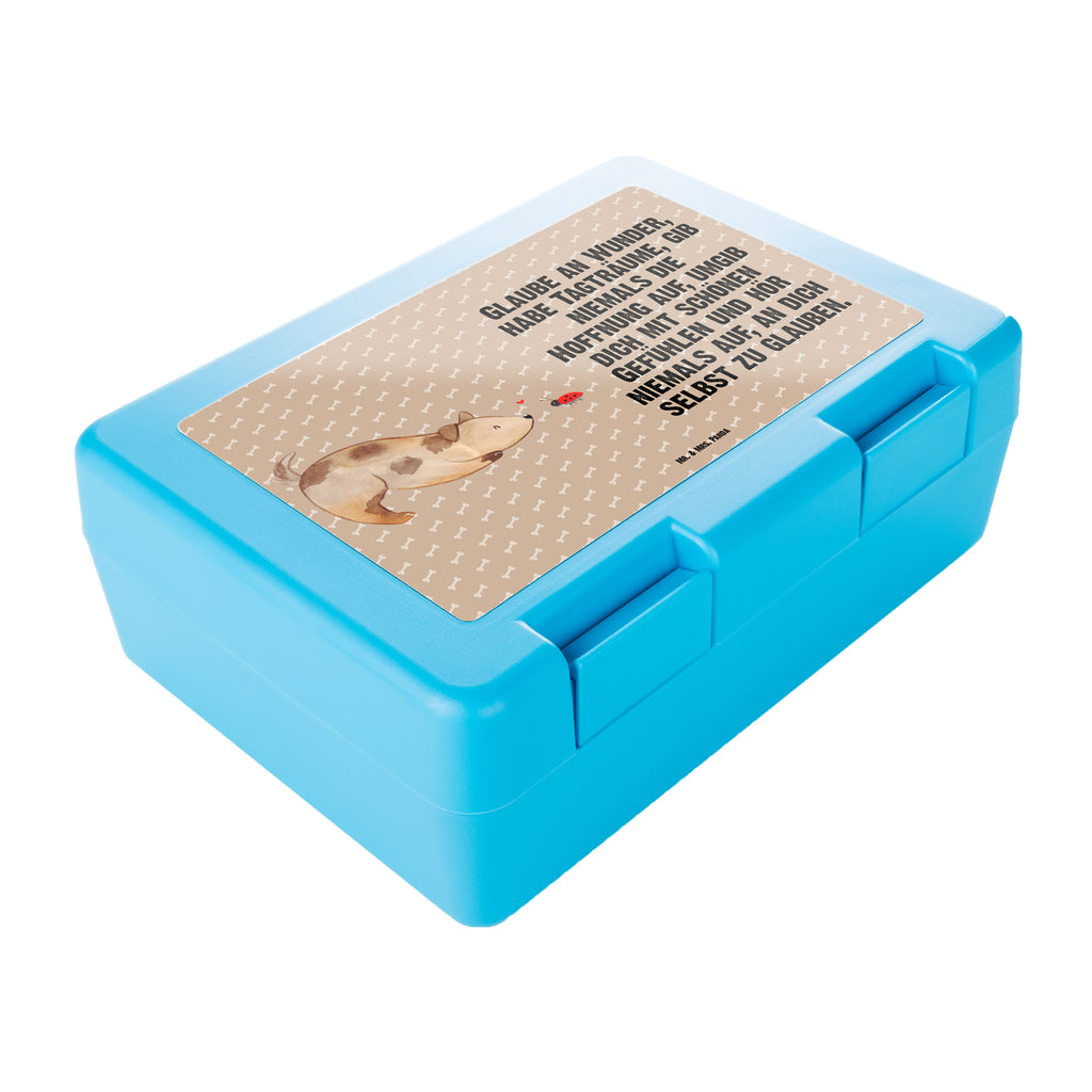 Brotdose Hund Marienkäfer Brotbox, Snackbox, Lunch box, Butterbrotdose, Brotzeitbox, Hund, Hundemotiv, Haustier, Hunderasse, Tierliebhaber, Hundebesitzer, Sprüche, Hunde, Hundespruch, Marienkäfer, Mischling, Mischlinghund