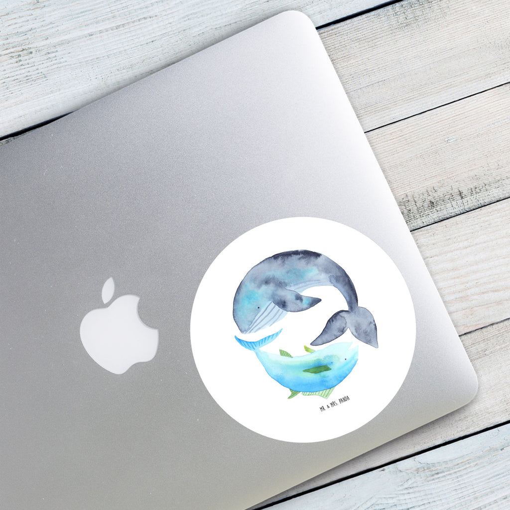 120mm Rund Aufkleber Walfisch & Thunfisch Sticker, Aufkleber, Etikett, Kinder, rund, Tiermotive, Gute Laune, lustige Sprüche, Tiere, Wal, Wahl, Tunfisch, Wortwitz lustig, Spruch lustig, Flachwitz, Witz, Spruch des Tages, Flachwitz Geschenk