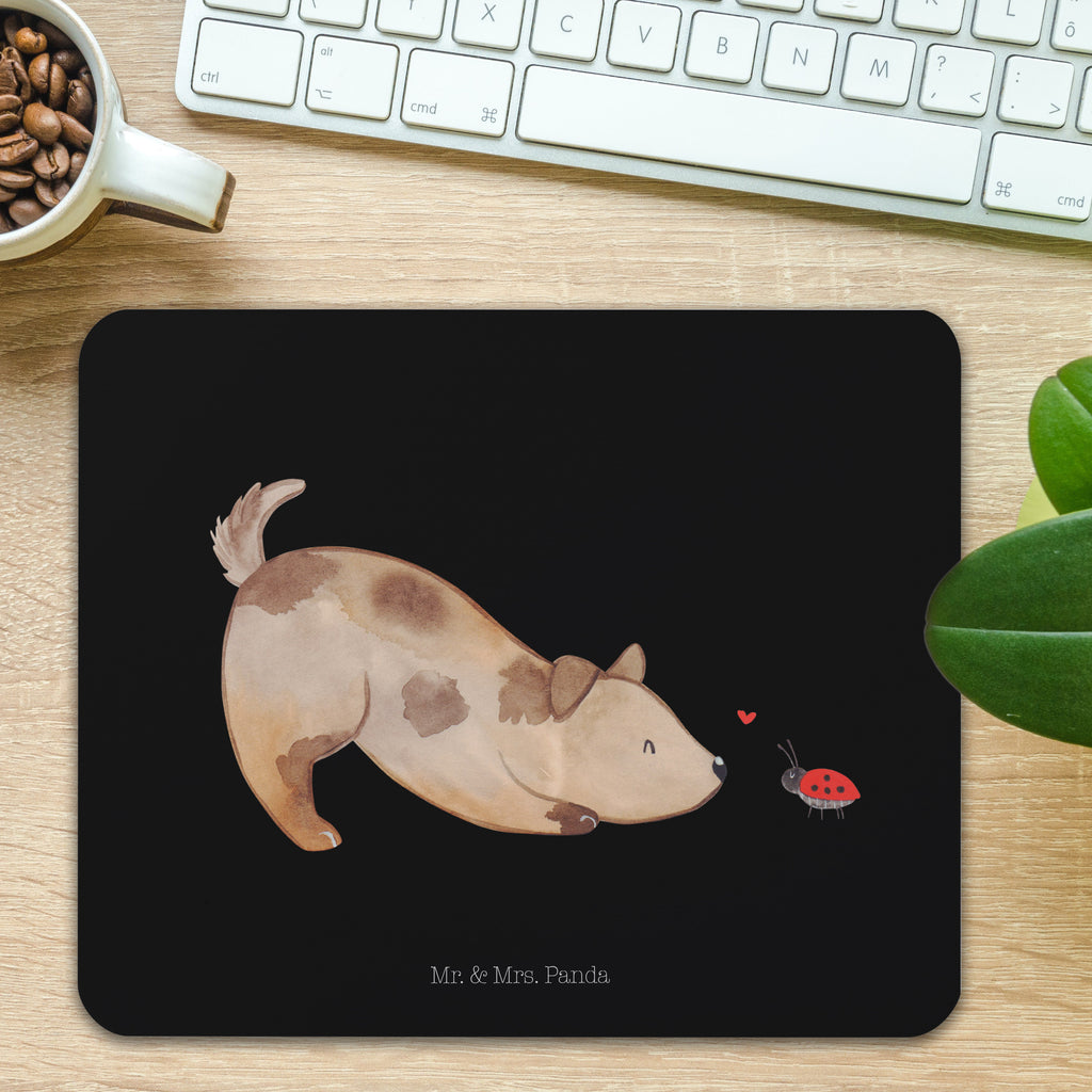Mauspad Hund Marienkäfer Mousepad, Computer zubehör, Büroausstattung, PC Zubehör, Arbeitszimmer, Mauspad, Einzigartiges Mauspad, Designer Mauspad, Hund, Hundemotiv, Haustier, Hunderasse, Tierliebhaber, Hundebesitzer, Sprüche, Hunde, Hundespruch, Marienkäfer, Mischling, Mischlinghund