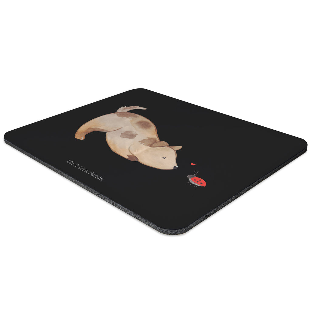 Mauspad Hund Marienkäfer Mousepad, Computer zubehör, Büroausstattung, PC Zubehör, Arbeitszimmer, Mauspad, Einzigartiges Mauspad, Designer Mauspad, Hund, Hundemotiv, Haustier, Hunderasse, Tierliebhaber, Hundebesitzer, Sprüche, Hunde, Hundespruch, Marienkäfer, Mischling, Mischlinghund