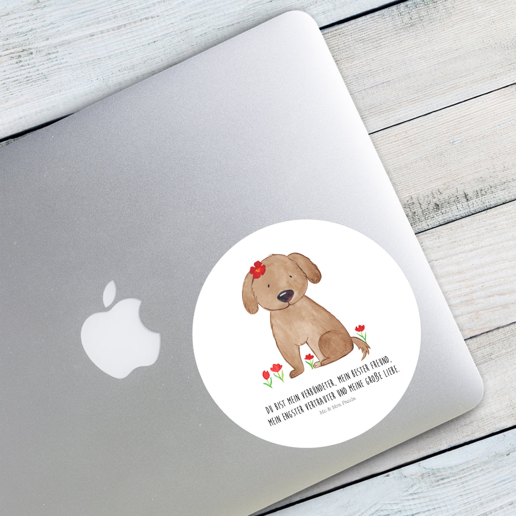 120mm Rund Aufkleber Hund Hundedame Sticker, Aufkleber, Etikett, Kinder, rund, Hund, Hundemotiv, Haustier, Hunderasse, Tierliebhaber, Hundebesitzer, Sprüche, Hunde, Hundeliebe, Hundeglück, Liebe, Frauchen