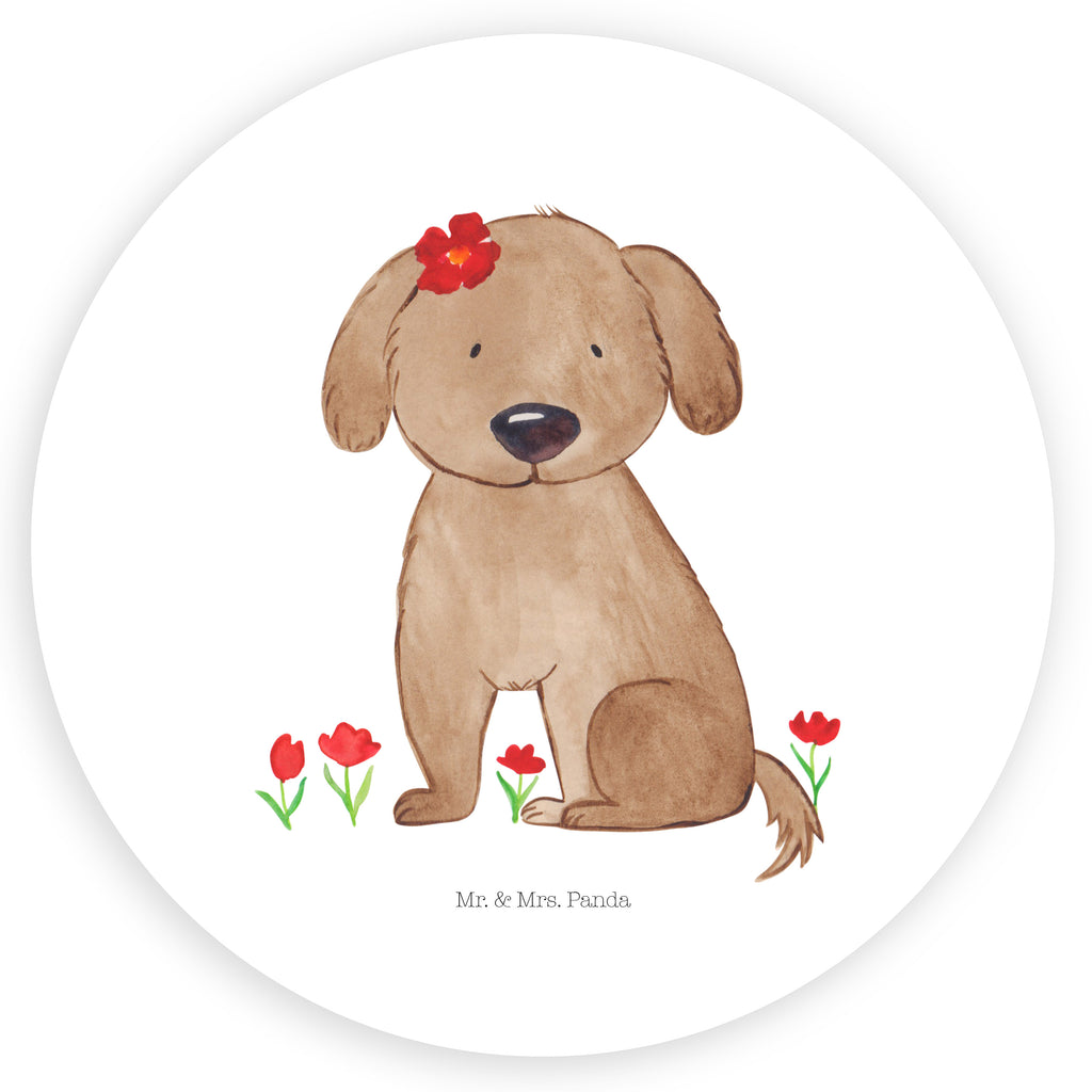 120mm Rund Aufkleber Hund Hundedame Sticker, Aufkleber, Etikett, Kinder, rund, Hund, Hundemotiv, Haustier, Hunderasse, Tierliebhaber, Hundebesitzer, Sprüche, Hunde, Hundeliebe, Hundeglück, Liebe, Frauchen