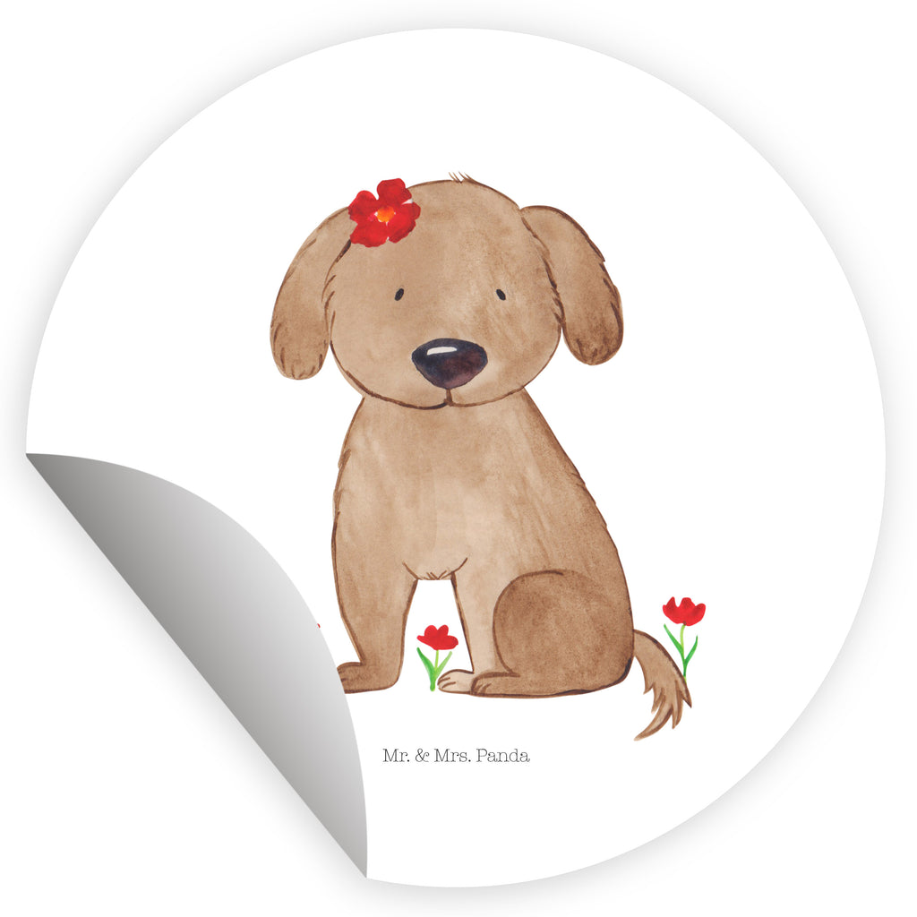 120mm Rund Aufkleber Hund Hundedame Sticker, Aufkleber, Etikett, Kinder, rund, Hund, Hundemotiv, Haustier, Hunderasse, Tierliebhaber, Hundebesitzer, Sprüche, Hunde, Hundeliebe, Hundeglück, Liebe, Frauchen