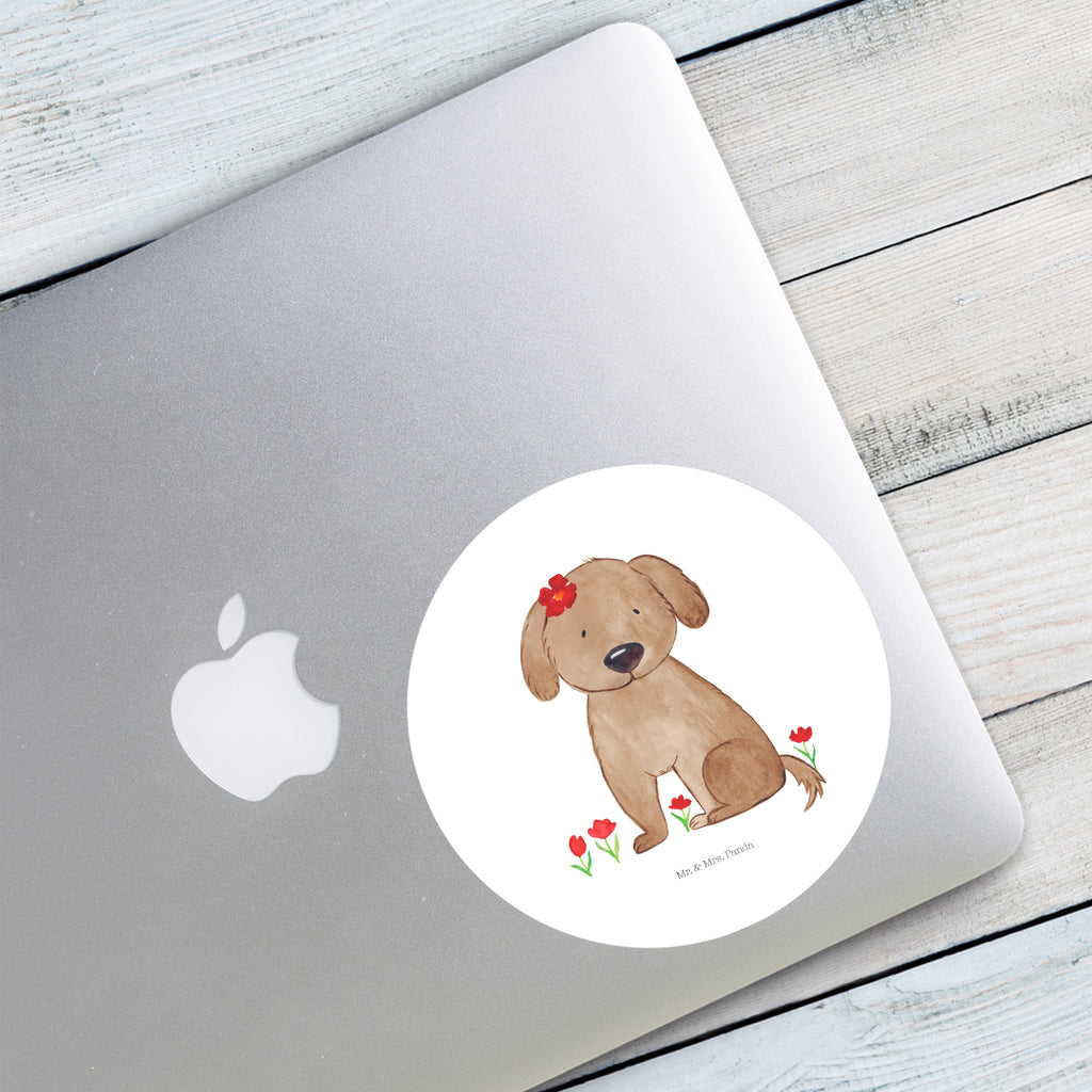 120mm Rund Aufkleber Hund Hundedame Sticker, Aufkleber, Etikett, Kinder, rund, Hund, Hundemotiv, Haustier, Hunderasse, Tierliebhaber, Hundebesitzer, Sprüche, Hunde, Hundeliebe, Hundeglück, Liebe, Frauchen