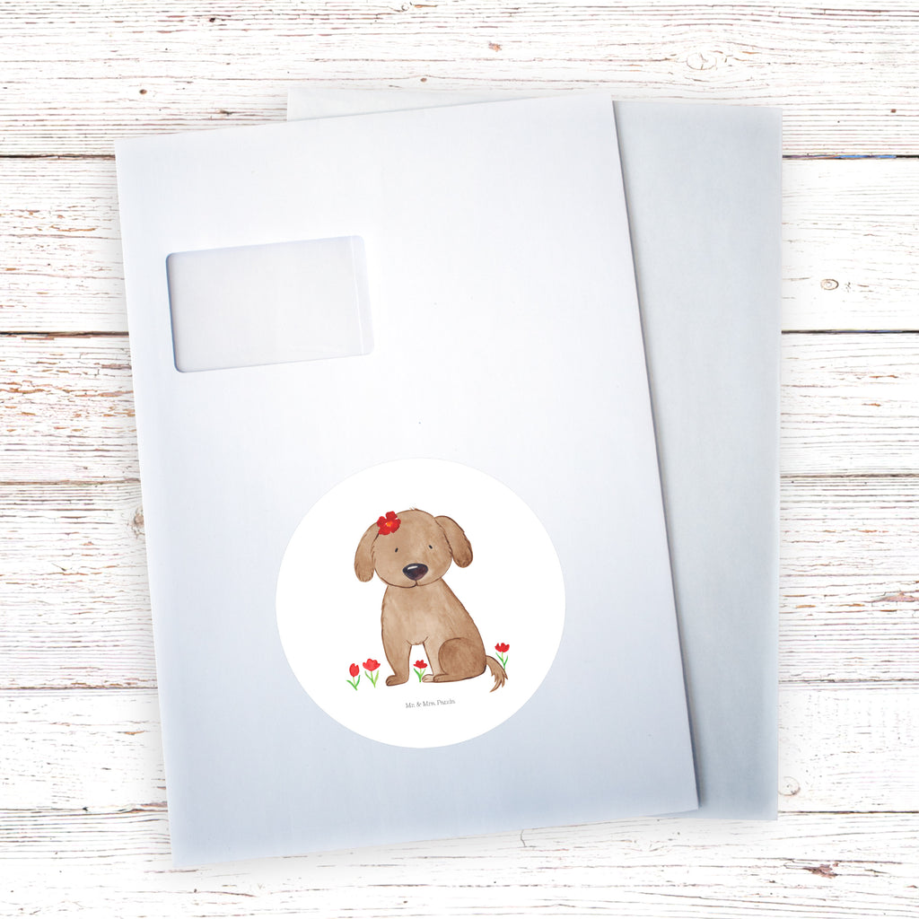 120mm Rund Aufkleber Hund Hundedame Sticker, Aufkleber, Etikett, Kinder, rund, Hund, Hundemotiv, Haustier, Hunderasse, Tierliebhaber, Hundebesitzer, Sprüche, Hunde, Hundeliebe, Hundeglück, Liebe, Frauchen