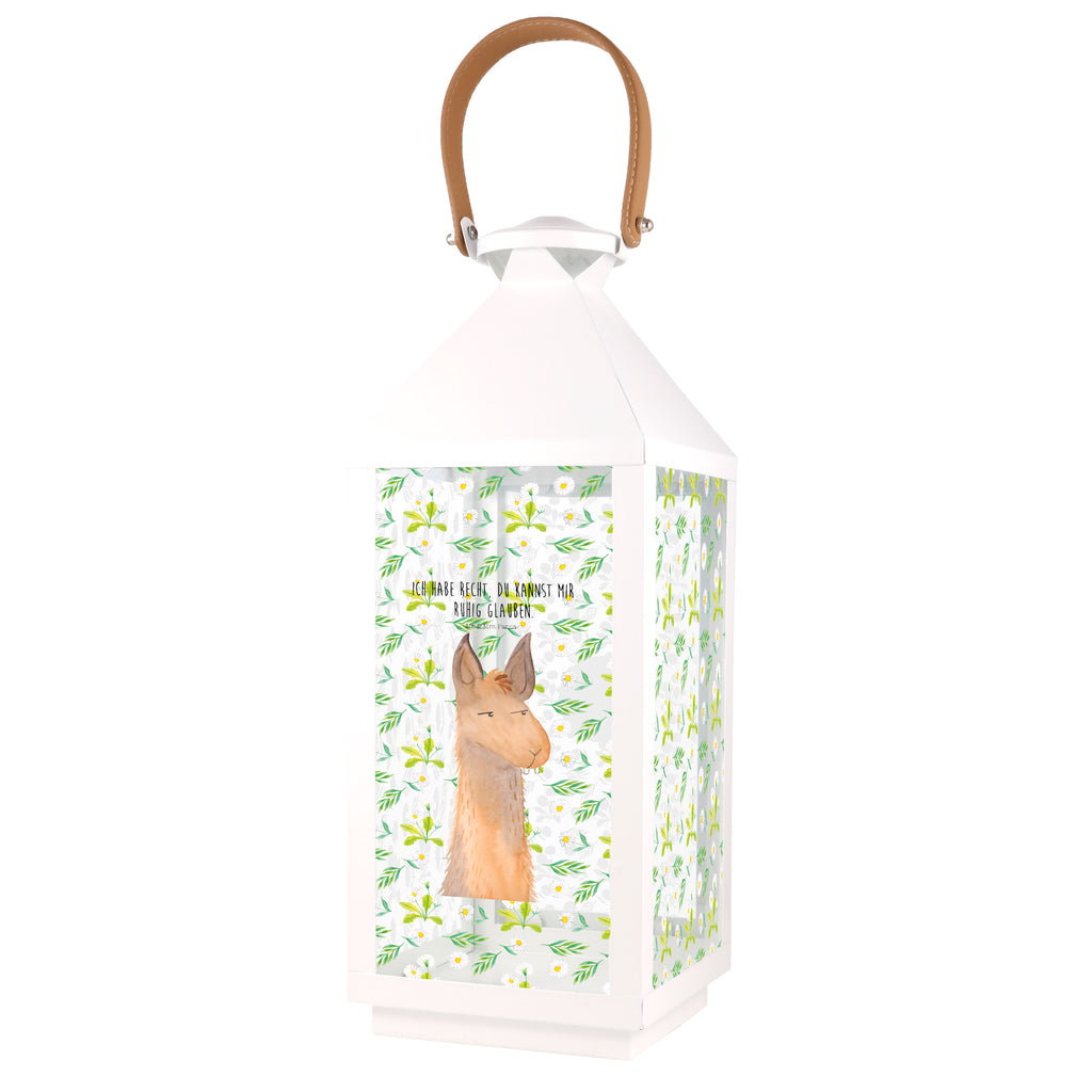 Deko Laterne Lamakopf genervt Gartenlampe, Gartenleuchte, Gartendekoration, Gartenlicht, Laterne  kleine Laternen, XXL Laternen, Laterne groß, Lama, Alpaka, Lamas, Recht haben, genervt sein, Freundin, beste Freundin, Partnerin, Büro, Büroalltag, Chef, Chefin, Azubi