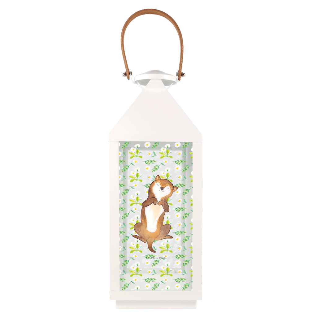 Deko Laterne Hund Bauchkraulen Gartenlampe, Gartenleuchte, Gartendekoration, Gartenlicht, Laterne  kleine Laternen, XXL Laternen, Laterne groß, Hund, Hundemotiv, Haustier, Hunderasse, Tierliebhaber, Hundebesitzer, Sprüche, Hunde, Hundeliebe, Hundewelpe, Bauchkraulen