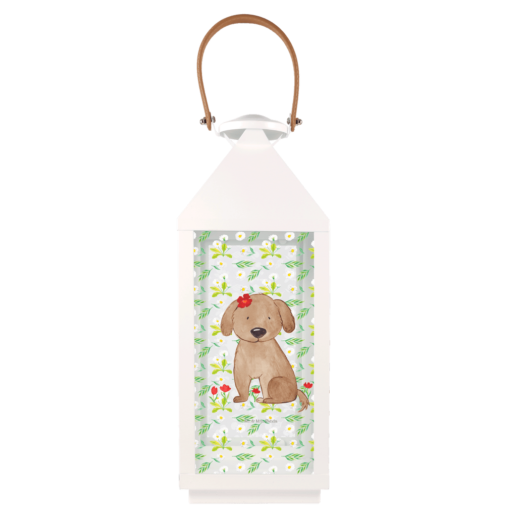 Deko Laterne Hund Hundedame Gartenlampe, Gartenleuchte, Gartendekoration, Gartenlicht, Laterne  kleine Laternen, XXL Laternen, Laterne groß, Hund, Hundemotiv, Haustier, Hunderasse, Tierliebhaber, Hundebesitzer, Sprüche, Hunde, Hundeliebe, Hundeglück, Liebe, Frauchen