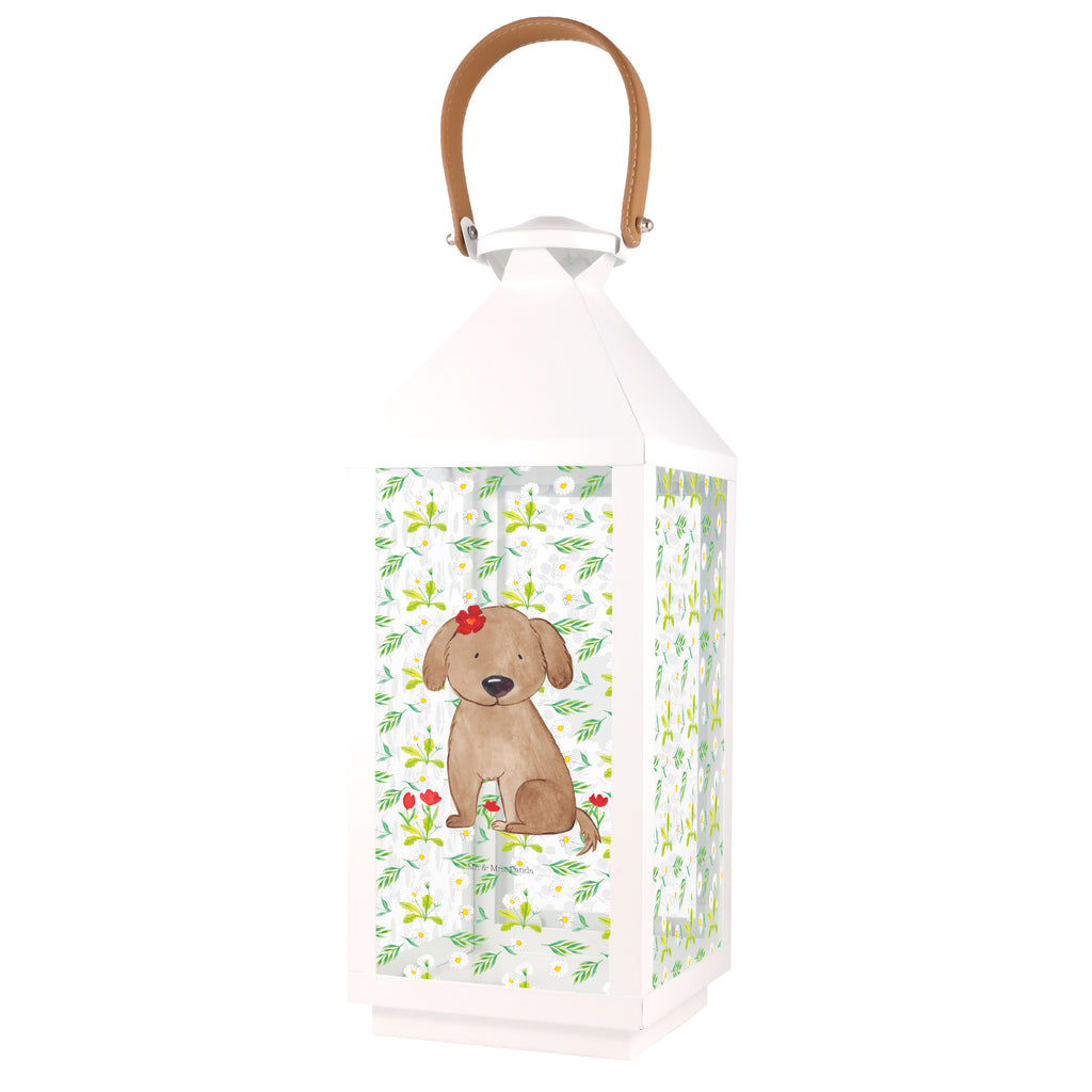 Deko Laterne Hund Hundedame Gartenlampe, Gartenleuchte, Gartendekoration, Gartenlicht, Laterne  kleine Laternen, XXL Laternen, Laterne groß, Hund, Hundemotiv, Haustier, Hunderasse, Tierliebhaber, Hundebesitzer, Sprüche, Hunde, Hundeliebe, Hundeglück, Liebe, Frauchen