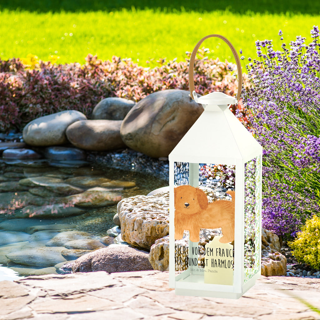 Deko Laterne Hund flauschig Hund, Hunde, Frauchen, Hundemama, Hundebesitzer, Hundeliebe Gartenlampe, Gartenleuchte, Gartendekoration, Gartenlicht, Laterne  kleine Laternen, XXL Laternen, Laterne groß,   Hund, Hundemotiv, Haustier, Hunderasse, Tierliebhaber, Hundebesitzer, Sprüche