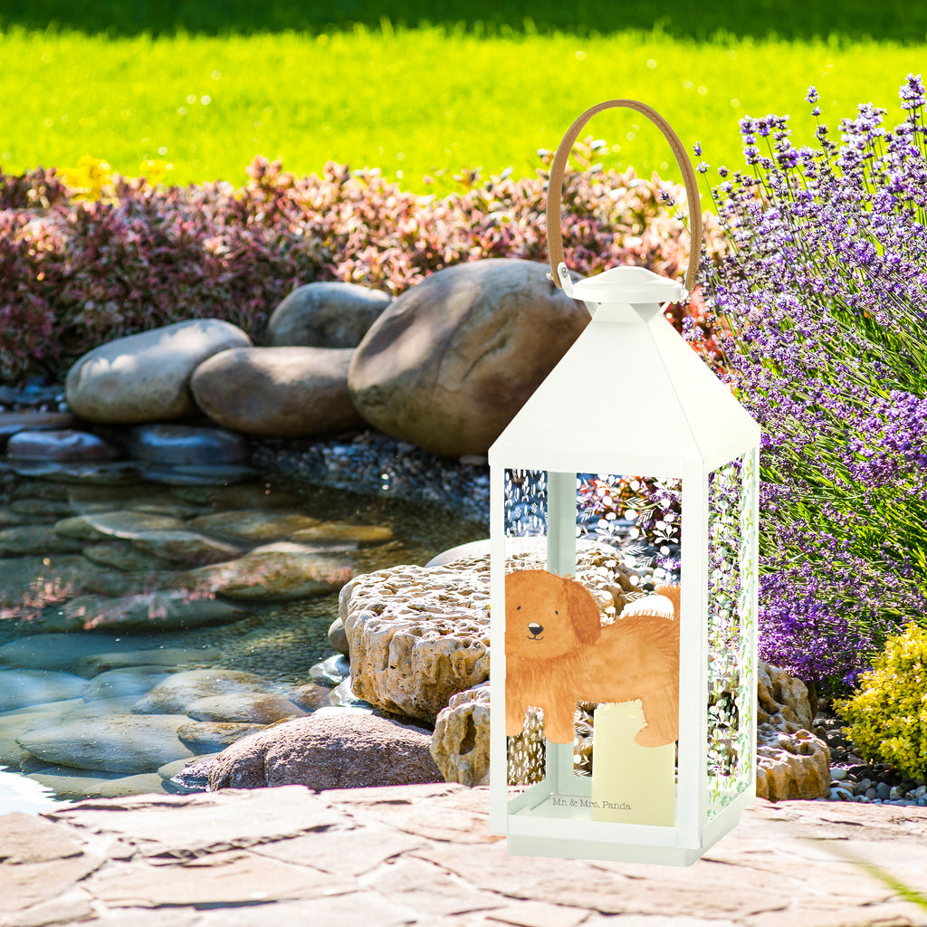 Deko Laterne Hund flauschig Hund, Hunde, Frauchen, Hundemama, Hundebesitzer, Hundeliebe Gartenlampe, Gartenleuchte, Gartendekoration, Gartenlicht, Laterne  kleine Laternen, XXL Laternen, Laterne groß,   Hund, Hundemotiv, Haustier, Hunderasse, Tierliebhaber, Hundebesitzer, Sprüche