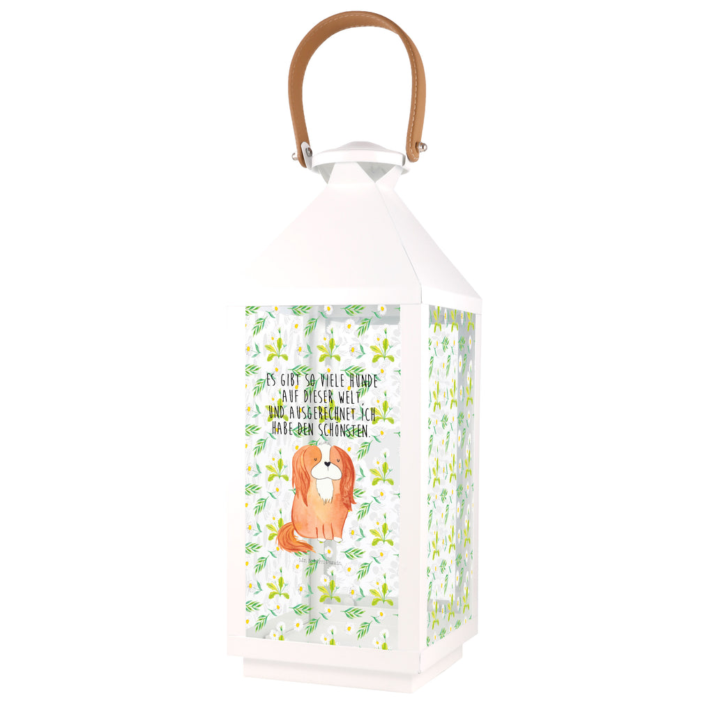 Deko Laterne Cavalier King Charles Spaniel Gartenlampe, Gartenleuchte, Gartendekoration, Gartenlicht, Laterne  kleine Laternen, XXL Laternen, Laterne groß, Hund, Hundemotiv, Haustier, Hunderasse, Tierliebhaber, Hundebesitzer, Sprüche, Cavalier King Charles Spaniel, Cockerspaniel, Spaniel, Spruch, schönster Hund