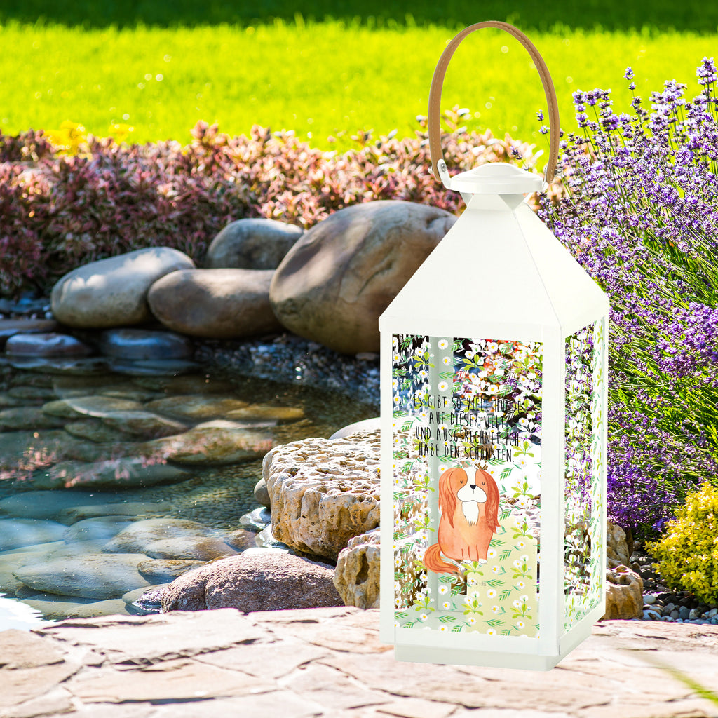 Deko Laterne Cavalier King Charles Spaniel Gartenlampe, Gartenleuchte, Gartendekoration, Gartenlicht, Laterne  kleine Laternen, XXL Laternen, Laterne groß, Hund, Hundemotiv, Haustier, Hunderasse, Tierliebhaber, Hundebesitzer, Sprüche, Cavalier King Charles Spaniel, Cockerspaniel, Spaniel, Spruch, schönster Hund