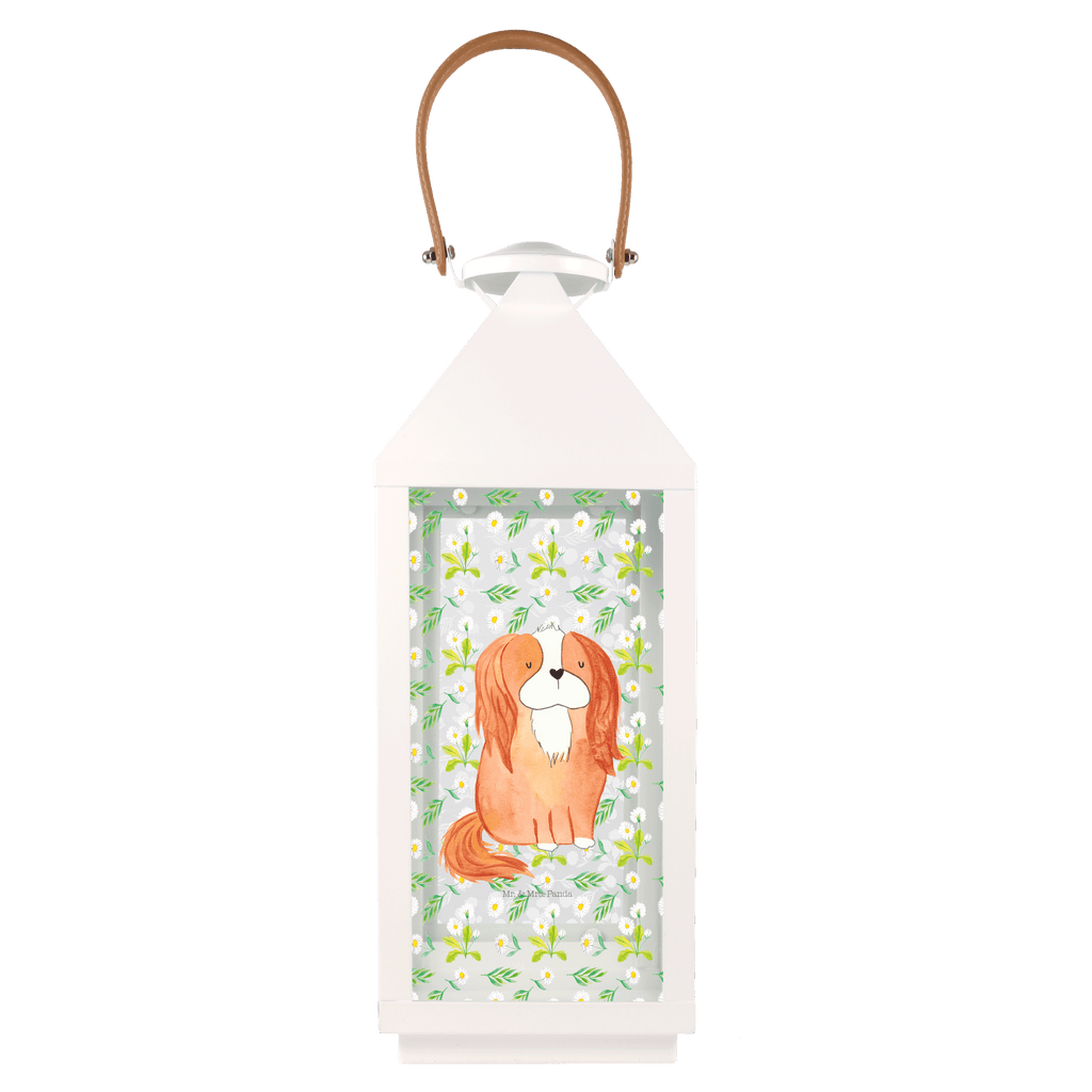 Deko Laterne Cavalier King Charles Spaniel Gartenlampe, Gartenleuchte, Gartendekoration, Gartenlicht, Laterne  kleine Laternen, XXL Laternen, Laterne groß, Hund, Hundemotiv, Haustier, Hunderasse, Tierliebhaber, Hundebesitzer, Sprüche, Cavalier King Charles Spaniel, Cockerspaniel, Spaniel, Spruch, schönster Hund