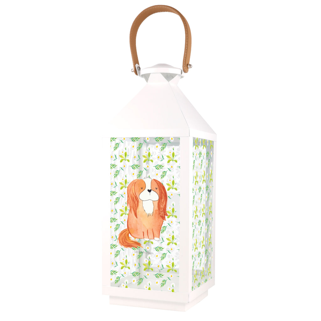 Deko Laterne Cavalier King Charles Spaniel Gartenlampe, Gartenleuchte, Gartendekoration, Gartenlicht, Laterne  kleine Laternen, XXL Laternen, Laterne groß, Hund, Hundemotiv, Haustier, Hunderasse, Tierliebhaber, Hundebesitzer, Sprüche, Cavalier King Charles Spaniel, Cockerspaniel, Spaniel, Spruch, schönster Hund
