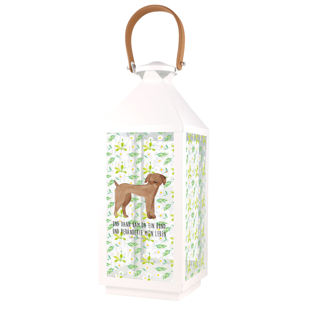 Deko Laterne Hund Dogge Gartenlampe, Gartenleuchte, Gartendekoration, Gartenlicht, Laterne  kleine Laternen, XXL Laternen, Laterne groß, Hund, Hundemotiv, Haustier, Hunderasse, Tierliebhaber, Hundebesitzer, Sprüche, Hunde, Dogge, Deutsche Dogge, Great Dane