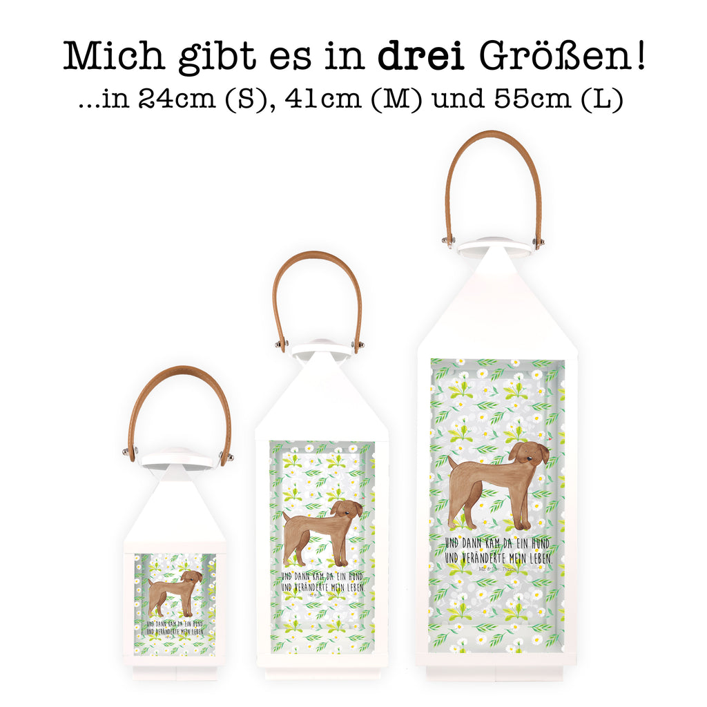 Deko Laterne Hund Dogge Gartenlampe, Gartenleuchte, Gartendekoration, Gartenlicht, Laterne  kleine Laternen, XXL Laternen, Laterne groß, Hund, Hundemotiv, Haustier, Hunderasse, Tierliebhaber, Hundebesitzer, Sprüche, Hunde, Dogge, Deutsche Dogge, Great Dane