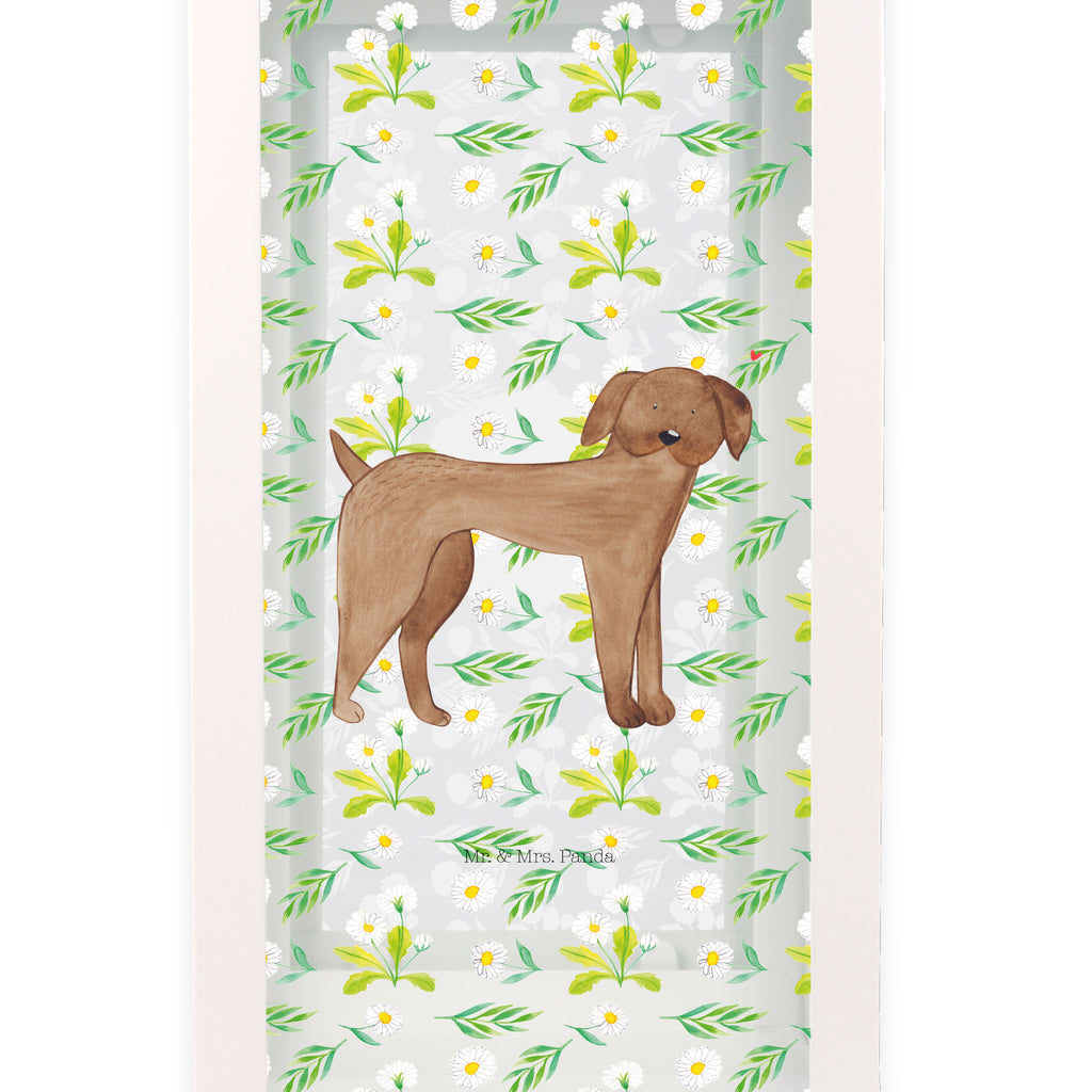 Deko Laterne Hund Dogge Gartenlampe, Gartenleuchte, Gartendekoration, Gartenlicht, Laterne  kleine Laternen, XXL Laternen, Laterne groß, Hund, Hundemotiv, Haustier, Hunderasse, Tierliebhaber, Hundebesitzer, Sprüche, Hunde, Dogge, Deutsche Dogge, Great Dane