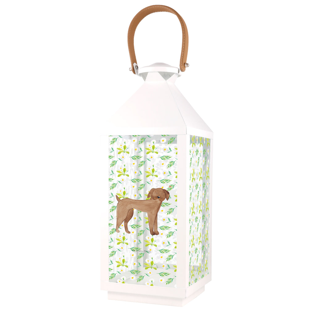 Deko Laterne Hund Dogge Gartenlampe, Gartenleuchte, Gartendekoration, Gartenlicht, Laterne  kleine Laternen, XXL Laternen, Laterne groß, Hund, Hundemotiv, Haustier, Hunderasse, Tierliebhaber, Hundebesitzer, Sprüche, Hunde, Dogge, Deutsche Dogge, Great Dane