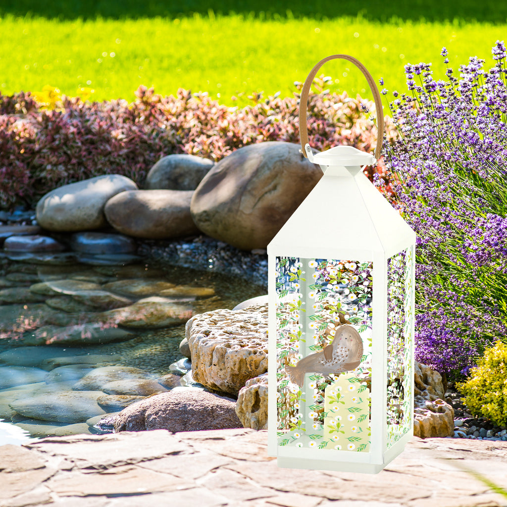 Deko Laterne Robbe lachend Gartenlampe, Gartenleuchte, Gartendekoration, Gartenlicht, Laterne  kleine Laternen, XXL Laternen, Laterne groß, Tiermotive, Gute Laune, lustige Sprüche, Tiere, Robbe, Robben, Seehund, Strand, Meerestier, Ostsee, Nordsee