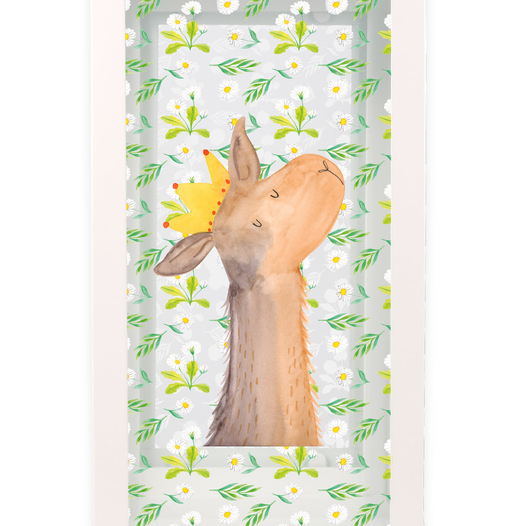 Deko Laterne Lamakopf König Lama, Lamas, König, Königin, Freundin, Mama, Papa, Büro Kollege, Kollegin, Chef, Vorgesetzter, Abi, Abitur Gartenlampe, Gartenleuchte, Gartendekoration, Gartenlicht, Laterne  kleine Laternen, XXL Laternen, Laterne groß,   Lama, Alpaka
