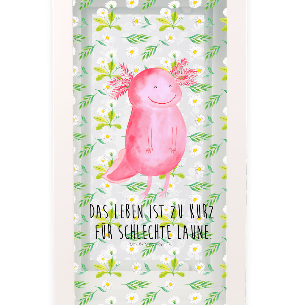 Deko Laterne Axolotl glücklich Axolotl, Axolot, Schwanzlurch, Lurch, Lurche, Motivation, gute Laune Gartenlampe, Gartenleuchte, Gartendekoration, Gartenlicht, Laterne  kleine Laternen, XXL Laternen, Laterne groß,   Axolotl, Molch