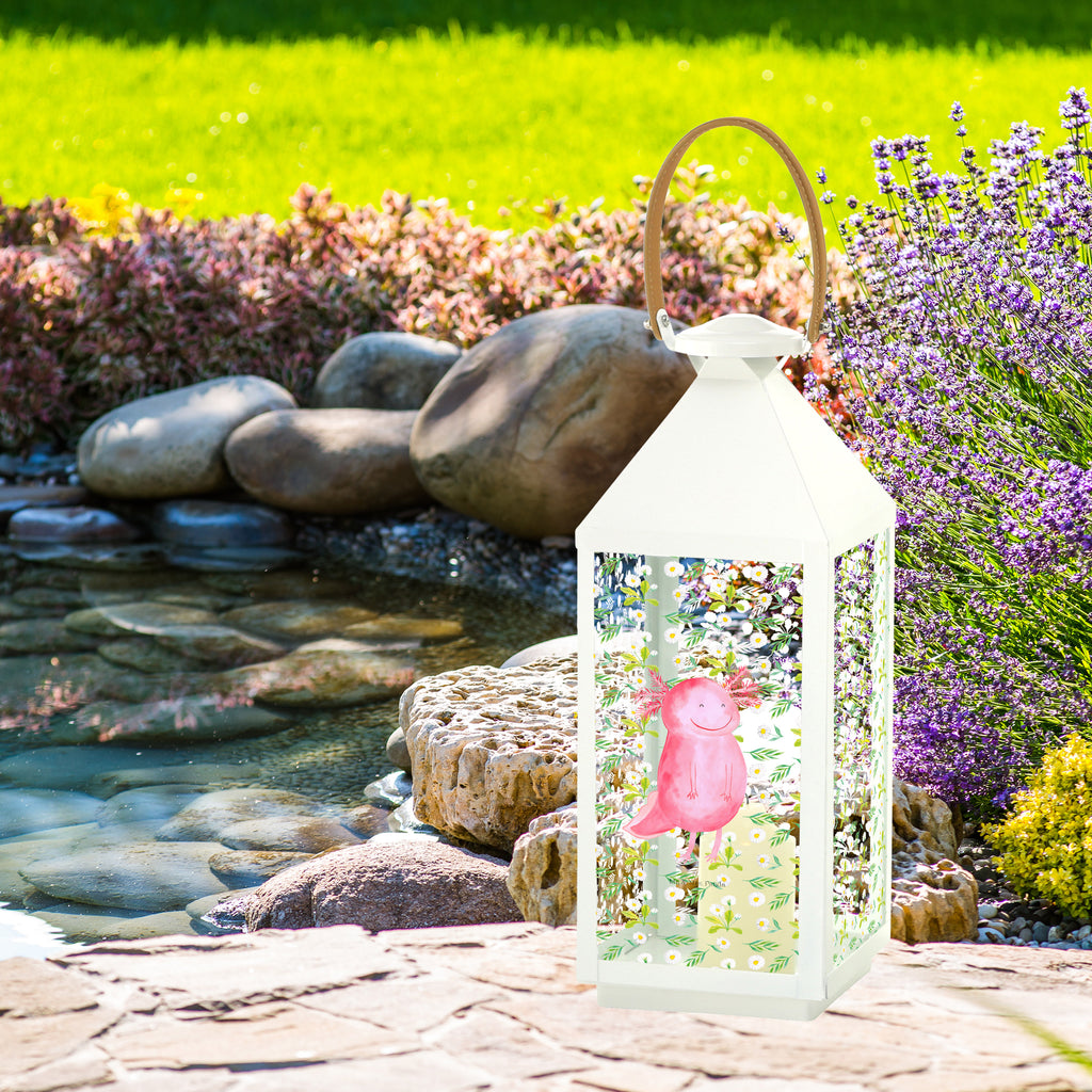 Deko Laterne Axolotl glücklich Axolotl, Axolot, Schwanzlurch, Lurch, Lurche, Motivation, gute Laune Gartenlampe, Gartenleuchte, Gartendekoration, Gartenlicht, Laterne  kleine Laternen, XXL Laternen, Laterne groß,   Axolotl, Molch